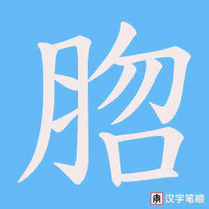 脗字笔顺图
