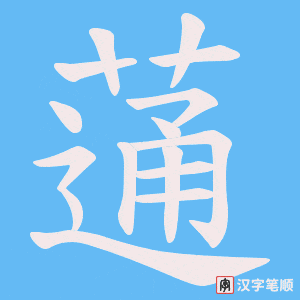 蓪字笔顺图