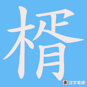 楈字笔顺图
