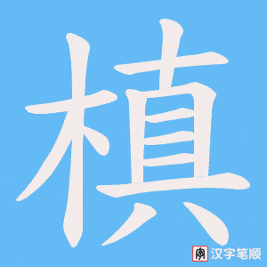 槙字笔顺图