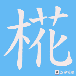 椛字笔顺图