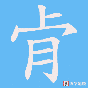 肻字笔顺图