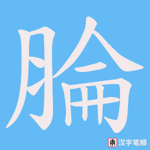 腀字笔顺图