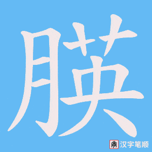 朠字笔顺图