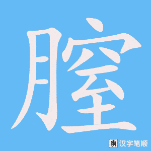 膣字笔顺图