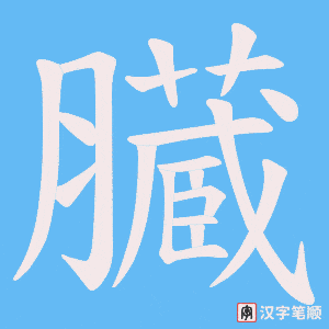 臓字笔顺图