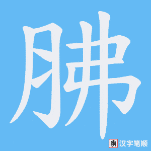 胇字笔顺图