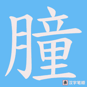 朣字笔顺图